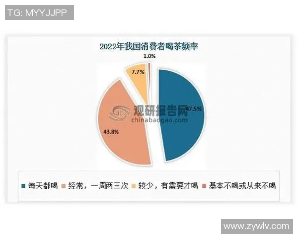 武汉羽毛球队实力分析与发展前景的深度探讨与展望