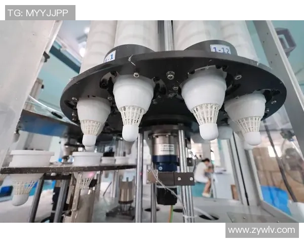 上海羽毛球队个人能力深度对比分析与发展潜力探讨