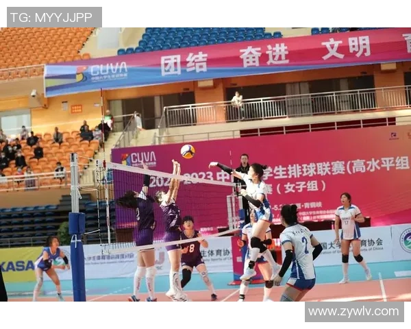 深圳排球队展现顽强耐力在联赛中逆袭的精彩表现与启示