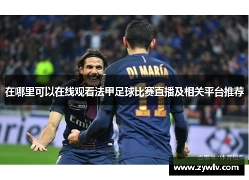 在哪里可以在线观看法甲足球比赛直播及相关平台推荐